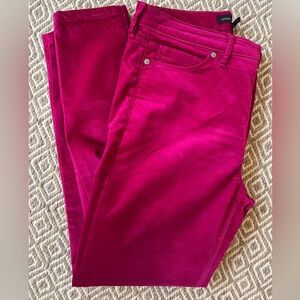 Banana Republic Mid Rise Skinny Ankle Strecht Velvet Pant